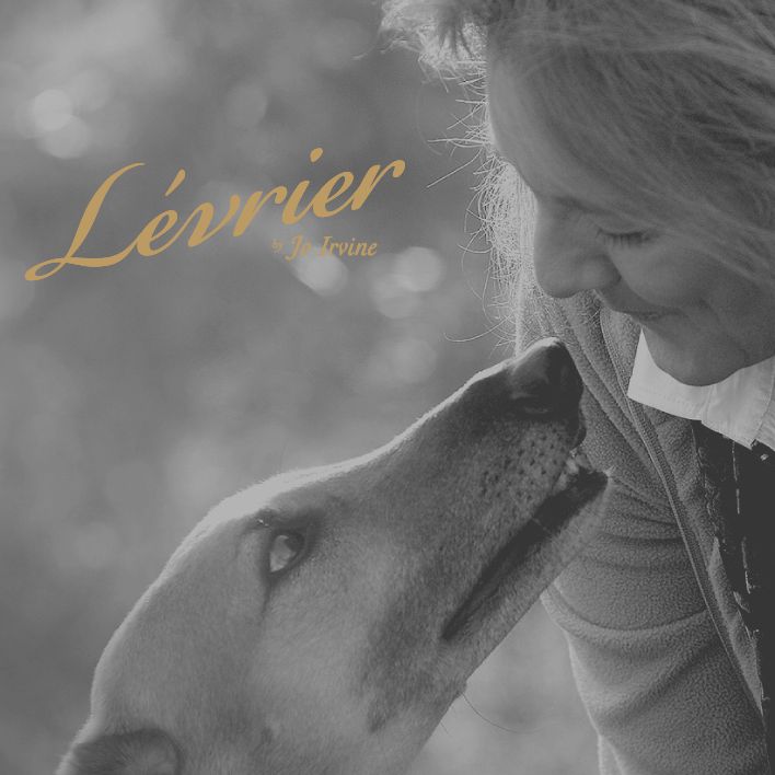 Levrier by Jo Irvine